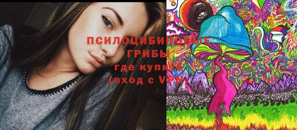 спиды Магас