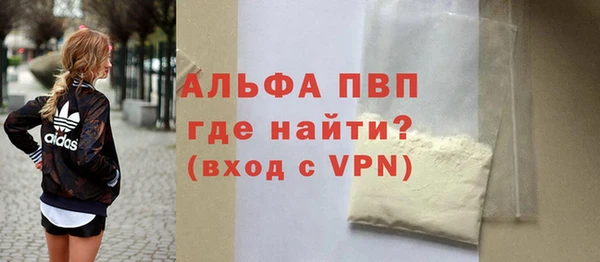 спиды Магас