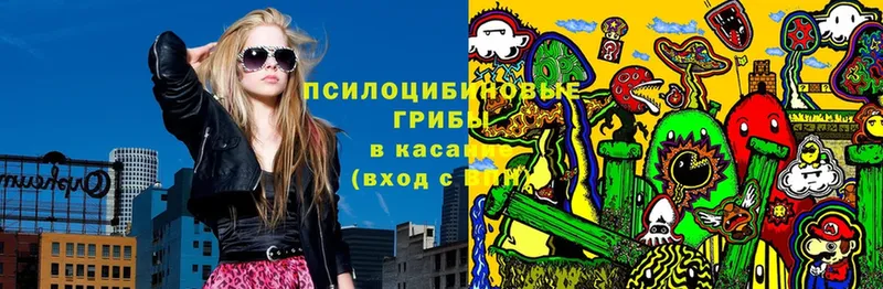 МЕГА как войти  Белая Холуница  Псилоцибиновые грибы Psilocybe 